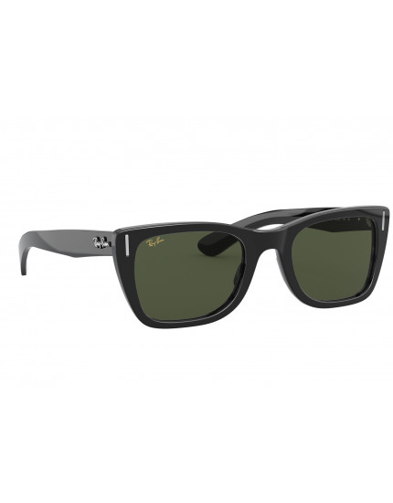 Ray-Ban RB2248 Sunglasses