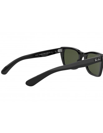 Ray-Ban RB2248