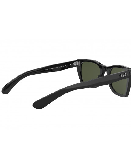Ray-Ban RB2248 Sunglasses