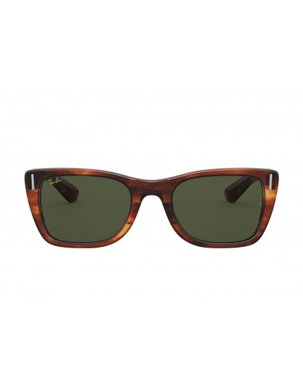 Ray-Ban RB2248 Sunglasses