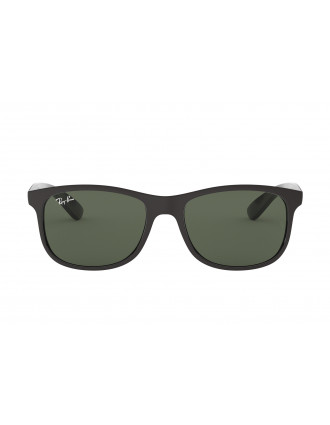 Ray-Ban RB4202 Andy