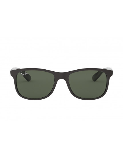 Ray-Ban RB4202 Andy Sunglasses