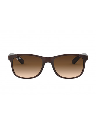 Ray-Ban RB4202 Andy Sunglasses