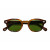 Moscot Lemtosh Sunglasses