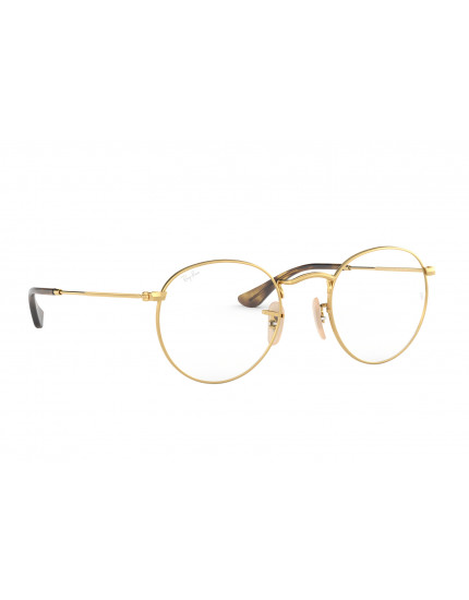 Ray-Ban RB3447V