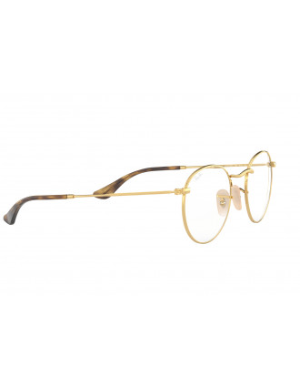 Ray-Ban Round Metal RB3447V