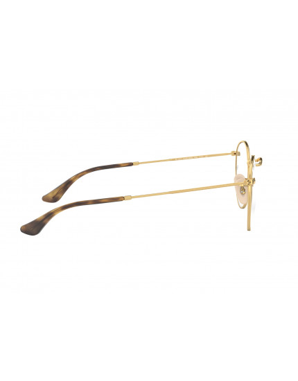 Ray-Ban RB3447V