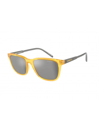 Arnette AN4291 Cortex Sunglasses