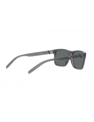 Arnette Bandra AN4298 Sunglasses Arnette Bandra AN4298 Sunglasses