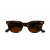 Moscot Vilda S Tortoise48