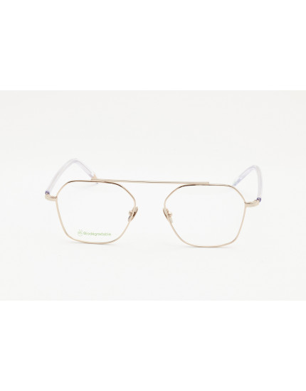 W/Sun Sacha Eyeglasses W/Sun Sacha Eyeglasses