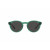 Polo Ralph Lauren PH4192 Sunglasses