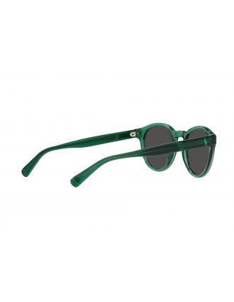 Polo Ralph Lauren PH4192 Sunglasses