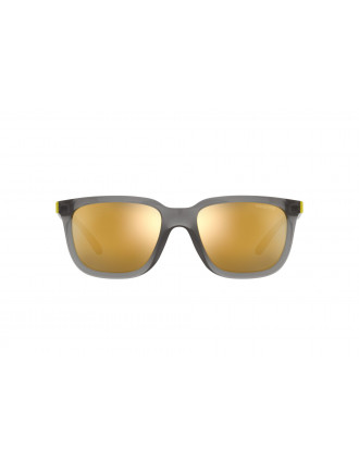 Arnette AN4306 Plaka Sunglasses