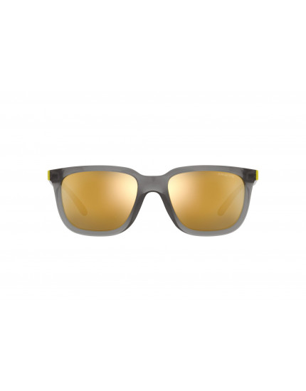 Arnette AN4306 Plaka Sunglasses