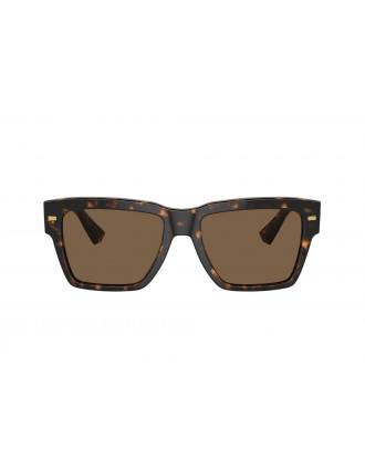 Dolce & Gabbana DG4431 Sunglasses