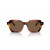 Oliver Peoples OV5526SU Kienna Oliver Peoples OV5526SU Kienna