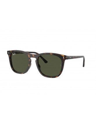 Ray-Ban RB2210 Sunglasses