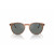 Oliver Peoples OV5183S O'Malley Sun Oliver Peoples OV5183S O'Malley Sun