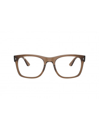 Ray-Ban RX7228 Eyeglasses