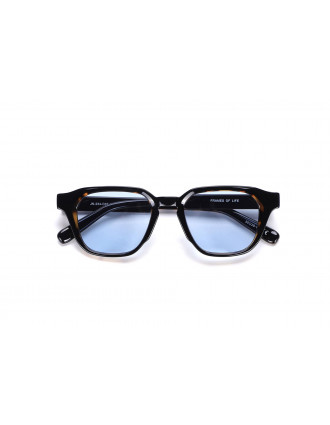 JohNocera Crusial Sunglasses