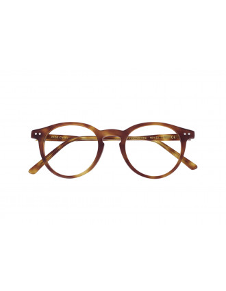 Epos Castore Eyeglasses