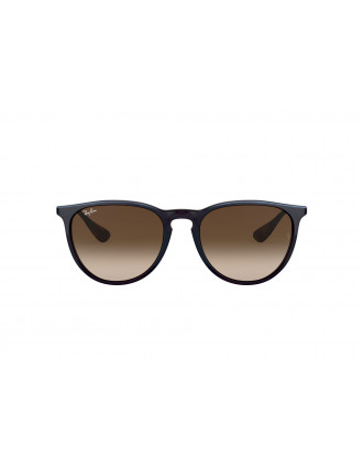 Ray-Ban RB4171 Erika Sunglasses