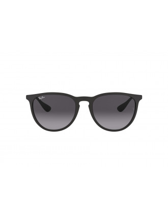 Ray-Ban RB4171 Erika Sunglasses