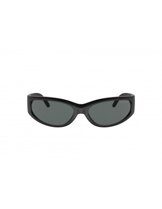 Arnette AN4302 Catfish Sunglasses