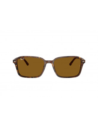 Ray-Ban RB2231 Raimond Sunglasses