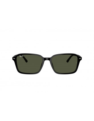 Ray-Ban RB2231 Raimond Sunglasses