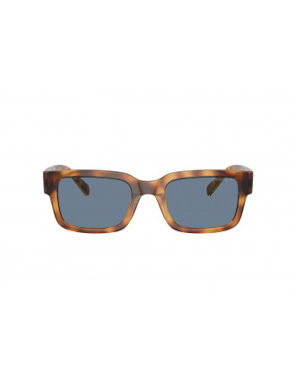 Arnette AN4343 Bigflip Sunglasses