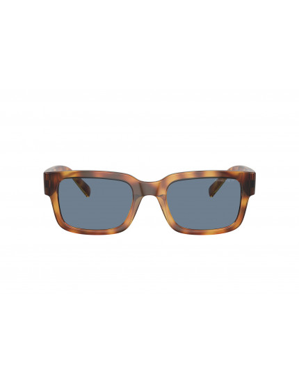 Arnette AN4343 Bigflip Sunglasses