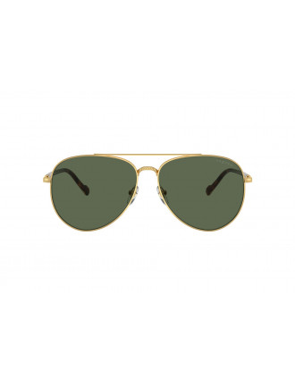 Vogue VO4290S Sunglasses