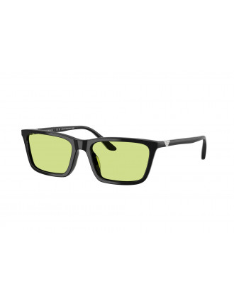 Emporio Armani EA4239U Sunglasses Emporio Armani EA4239U Sunglasses