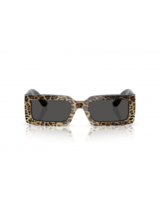 Dolce & Gabbana DG4416 Sunglasses