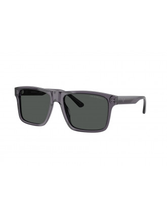Emporio Armani EA4232 Sunglasses
