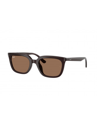 Ray-Ban RB4439D Eyeglasses