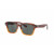 Oliver People OV5562SU Errisson Sun
