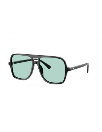 Emporio Armani EA4252U Emporio Armani EA4252U
