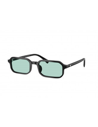 Emporio Armani EA4253U Sunglasses