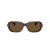 Moncler ME6008 SUNTRAP Sunglasses