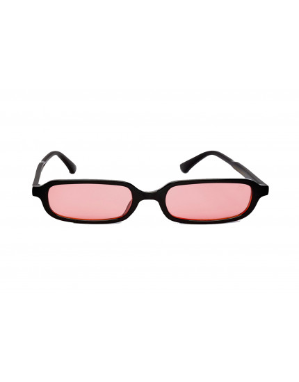 AV Sunglasses Logan
