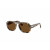 Persol PO3369S Sunglasses