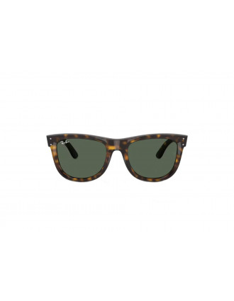 Ray-Ban RBR0502S