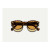 Moscot Lemtosh Tortoise Amber