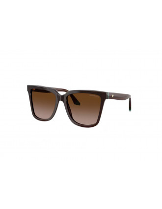 Emporio Armani EA4261 Sunglasses