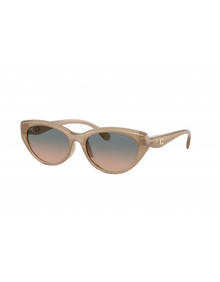 Coach HC8456D Cdp42 Sunglasses